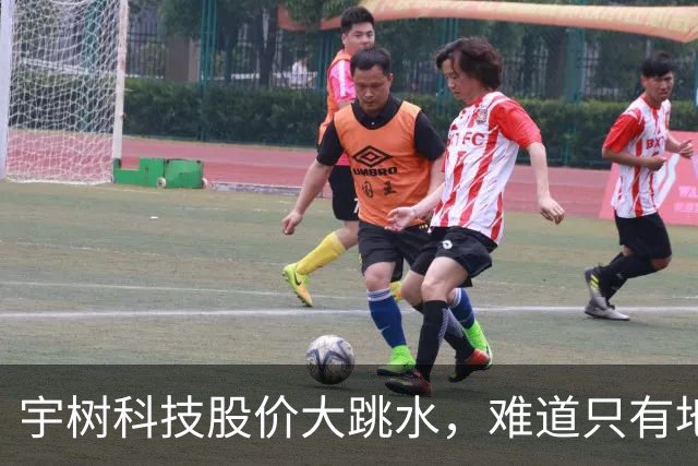 宇树科技股价大跳水，难道只有地心引力陪伴？