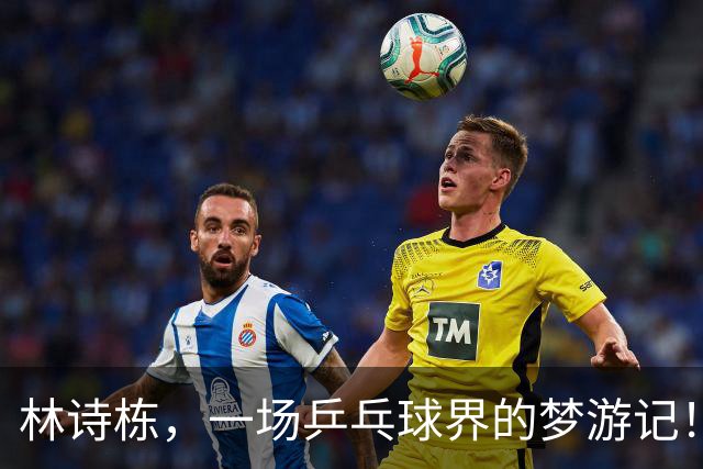 林诗栋，一场乒乓球界的梦游记！